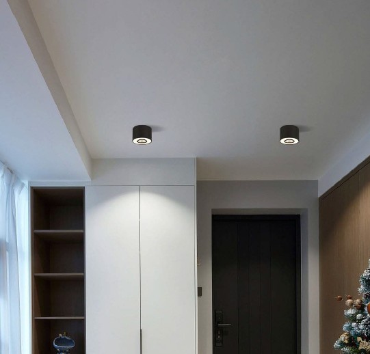 Ceiling Surface Mount